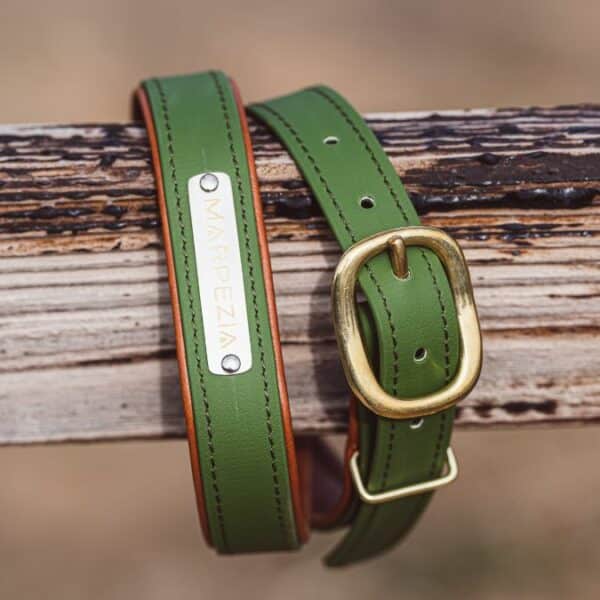 ceinture en biothane et cuir Stravinsky